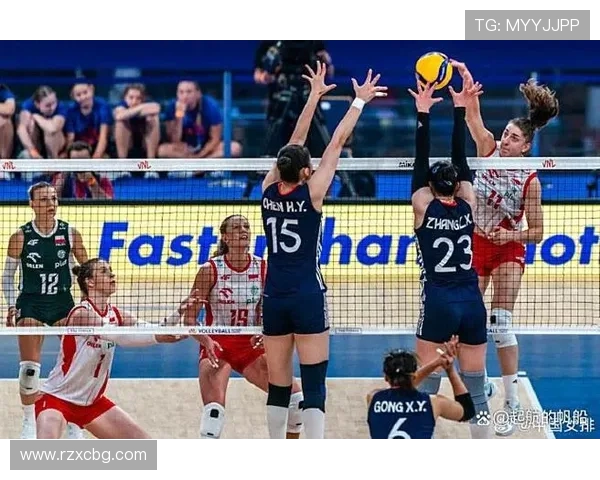北京排球队灵活性引发热议球迷与专家观点交锋激烈