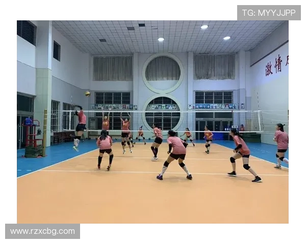 深度对话赵伟分享排球人生的奋斗与梦想之路