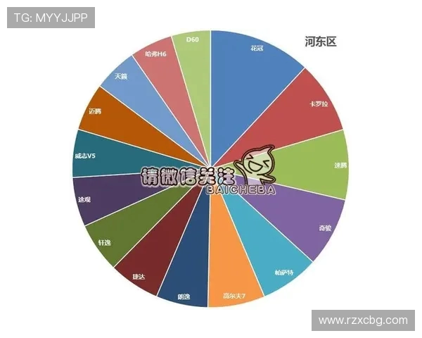 独家分析：上海网球队的实力对比