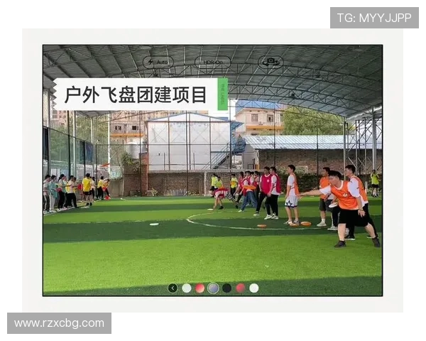 成都飞盘队配合变革引发热议探索团队协作的新模式与未来发展