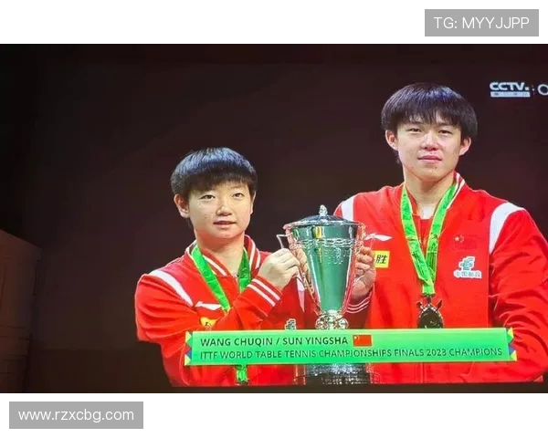 杭州排球队的成长之路挑战赛背后的奋斗与荣耀故事